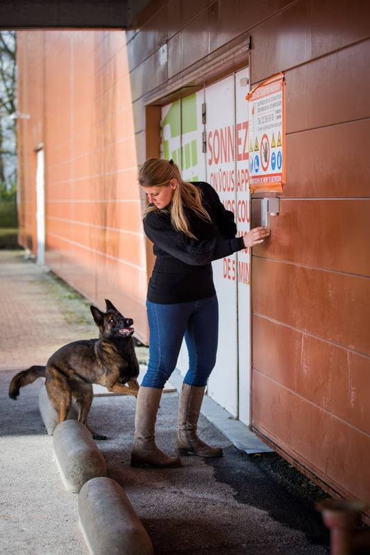 Amaryllis et un chien lors d’une mise en situation de prévention des morsures